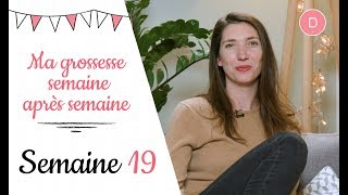 19ème semaine de grossesse – L’échographie du 2ème trimestre [upl. by Raycher659]