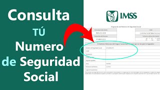 Como obtener tu NUMERO de SEGURO SOCIAL NSS para tramites [upl. by Joleen19]