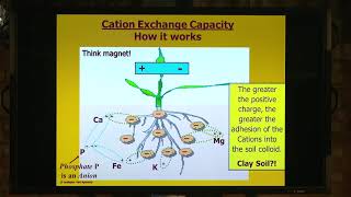 How Cation Exchange Capacity works [upl. by Dnalrah]