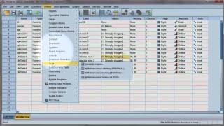 Reliability test Compute Cronbachs alpha using SPSS [upl. by Bove]