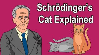 SCHRÖDINGERS CAT EXPLAINED [upl. by Tull]