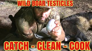 Wild Boar Testicles catch clean cook ⚠️GRAPHIC [upl. by Kcin]