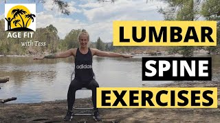 Lumbar Spondylosis Exercises [upl. by Bruis564]