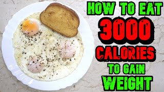 How To Eat 3000 Calories A Day To Gain Weight [upl. by Muller]