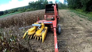 Dion F64 Rotary Head Chopping Sweet Corn [upl. by Ynej]