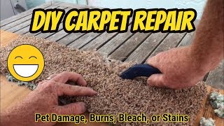 DIY Carpet Repair At a Transition Strip [upl. by Ylluz]