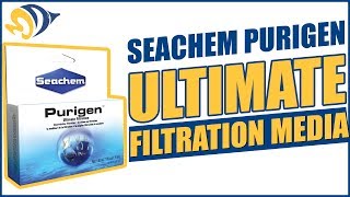 Seachem Purigen Ultimate Filtration Media What YOU Need to Know [upl. by Wayolle]