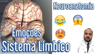 Sistema Límbico e as Emoções  Neuroanatomia [upl. by Iene]