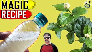 BEST ORGANIC PESTICIDE FORMULA  Home made Pest Control Recipe [upl. by Amber]