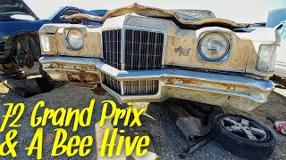 1972 Pontiac Grand Prix Junkyard Find [upl. by Bronnie]