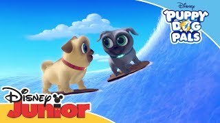 Puppy Dog Pals 🐶  Magical Moment Hawaii Adventure  Official Disney Channel Africa [upl. by Illib290]