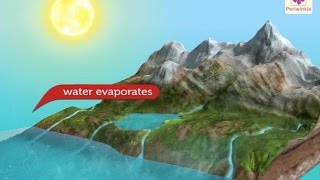 Water Cycle  3D Animation For Kids  All Important Water  Part 2  Periwinkle [upl. by Issy580]