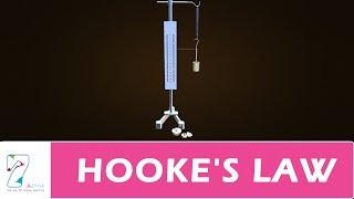 HOOKES LAW [upl. by Roos410]