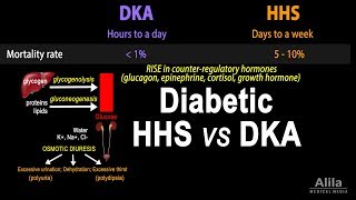 Hyperosmolar Hyperglycemic State Diabetic HHS vs DKA Animation [upl. by Hindorff]