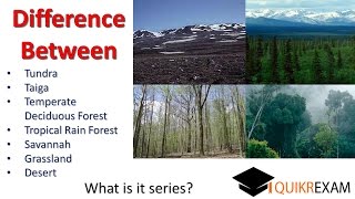 Difference between tundra taiga temperate tropical rain forest Savannah grassland desert [upl. by Obadias]