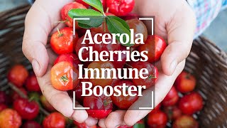 Nutris  Acerola Cherries Immune Booster [upl. by Etakyram]