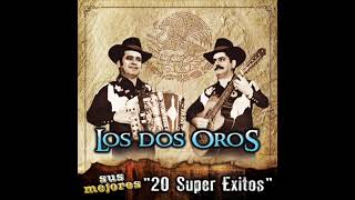 Los Dos Oros  Sus Mejores quot20 Super Exitosquot Disco Completo [upl. by Atteinotna941]