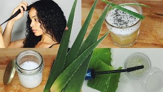 Verwendungen von Aloe Vera » DIY Brow Gel LeaveIn Conditioner Wellness Drink amp mehr [upl. by Elise545]