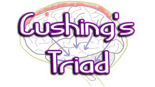 Cushings Triad Pathophysiology  Something In About 5 Minutes  Medic Materials [upl. by Melton]