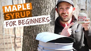 How To Make Maple Syrup Small Batch Syrup For Beginners [upl. by Coleen351]