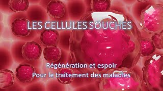 Les cellules souches [upl. by Nairred]