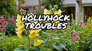 What Happened to My Hollyhocks [upl. by Sallad]