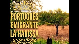 LA HARISSA  PORTUGUÊS EMIGRANTE  audio  lyrics [upl. by Whitebook311]