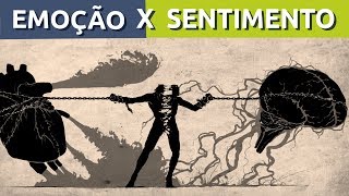 QUAL A DIFERENÇA ENTRE EMOÇÃO E SENTIMENTO  RODRIGO FONSECA [upl. by Grantham811]