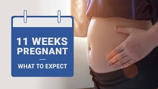 11 Weeks Pregnant What to Expect [upl. by Fital573]