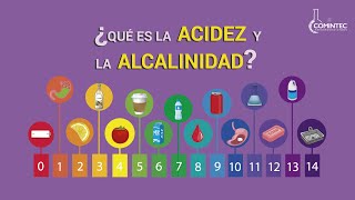 ¿Qué es ACIDEZ y ALCALINIDAD [upl. by Darb]