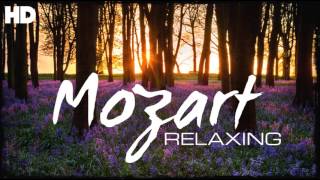 The Best Relaxing Classical Music Ever By Mozart  Relaxation Meditation Reading Focus [upl. by Danna248]