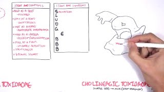 Cholinergic and Anticholinergic Toxicity Toxidrome [upl. by Aunson746]