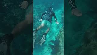 Amazing Snorkeling At CocoCay [upl. by Verdie]