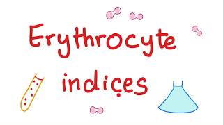 How to Interpret RBC Indices eg hemoglobin vs hematocrit MCV RDW [upl. by Aniratak916]