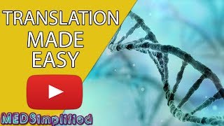 DNA Translation Made Easy [upl. by Rahs]