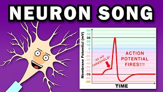 THE NEURON SONG [upl. by Guise846]