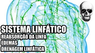 Vídeo Aula 138  Anatomia Humana  Sistema Linfático Linfa Edemas e Drenagem Linfática [upl. by Tibbs]