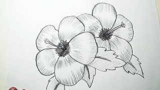 How to Draw Hibiscus Flowers  Pencil Drawing Shading for Beginners [upl. by Aloeda]