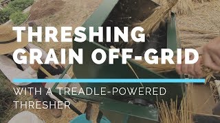 How we do Stuff Threshing Wheat with a Treadle Thresher [upl. by Ilojna]