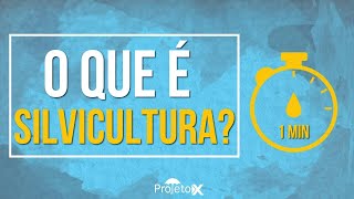 O Que É Silvicultura em 1 minuto [upl. by Anrak]