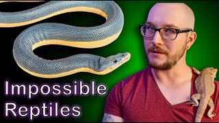 Top 5 IMPOSSIBLE TO KEEP Reptiles [upl. by Asirralc]