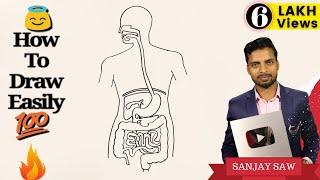 How to Draw Human Digestive System step by step for Beginners [upl. by Alimaj]