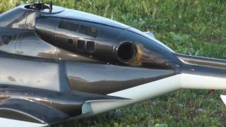 Vario RC Airwolf Helicopter wJetCat PHT3 Turbine 1st Flight [upl. by Tneciv687]