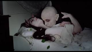 A Film Score to the Sacrifice Scene  Nosferatu the Vampyre 1979 [upl. by Collayer795]