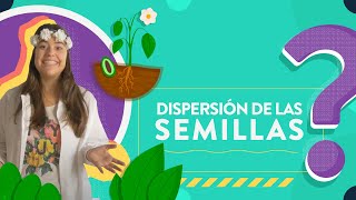 Dispersión de las semillas [upl. by Hgielanna41]