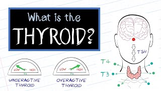 Understanding Hyperthyroidism and Graves Disease [upl. by Asselam827]