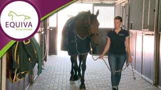 Pferdedecken  zu Besuch bei Horseware in Irland [upl. by Aleron]