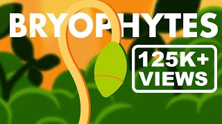 Bryophytes Class 11  Life Cycle of Bryophytes ANIMATION  Plant Kingdom Class 11  NEET [upl. by Nizam]