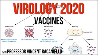 Virology Lectures 2020 19 Vaccines [upl. by Farhi]