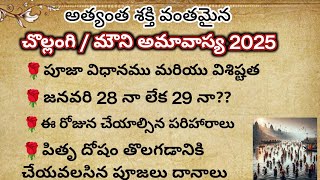 Chollangi Amavasya 2025 DateMauni Amavasya 2025 Date Remedies for pithrudosha చొల్లంగి అమావాస్య [upl. by Orling]